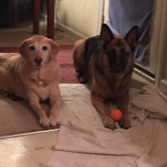 🌷 Poshmark Ambassador • Kathy - Picture 13 of 14